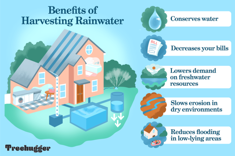 beginners-guide-to-rainwater-harvesting-5089884_V3-d4a6f6a568fc4f348598d9b98f96b6b7